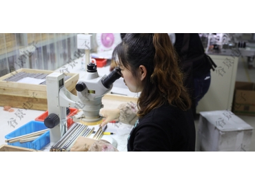 贴片共模电感方向如何区分你知道吗？